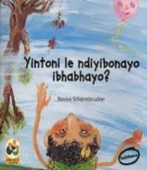 Picture of Yintoni le ndiyibonayo ibhabhayo?