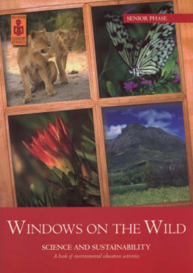 Picture of Windows on the wild