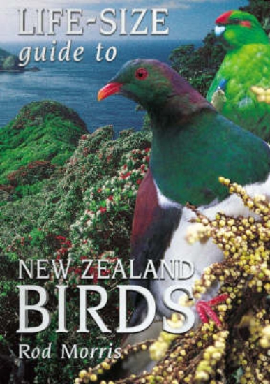 Picture of Life Size Guide to Birds