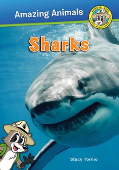 Picture of Sharks