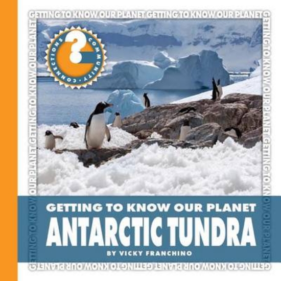 Picture of Antarctic Tundra