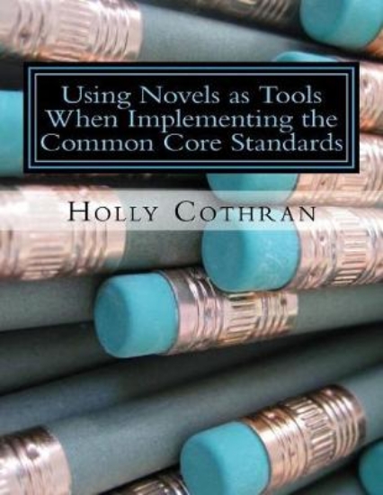 Picture of Using Novels as Tools When Implementing the Common