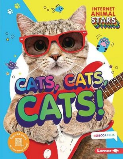 Picture of Cats, Cats, Cats!