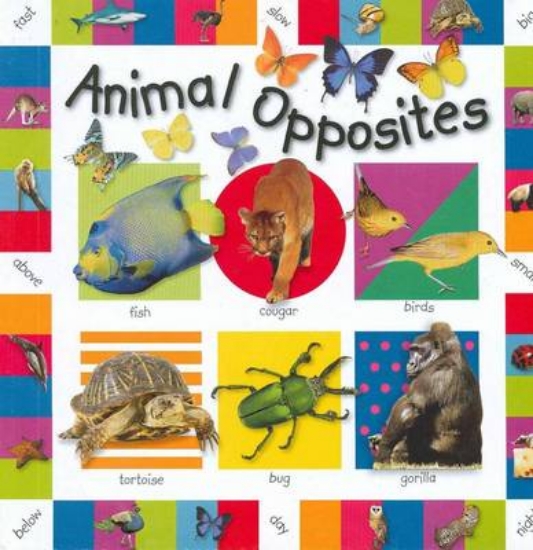 Picture of Animal Opposites