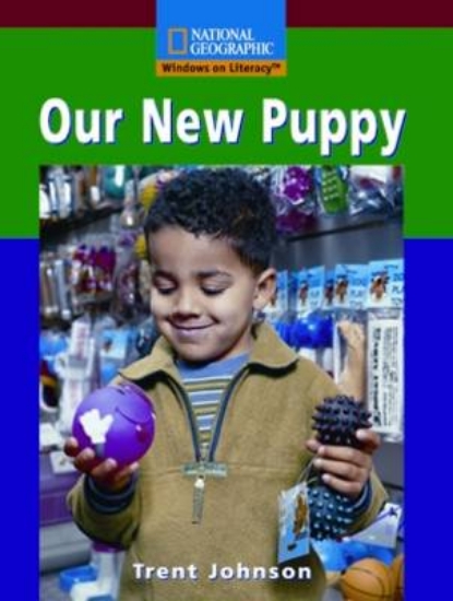 Picture of Windows in Literacy