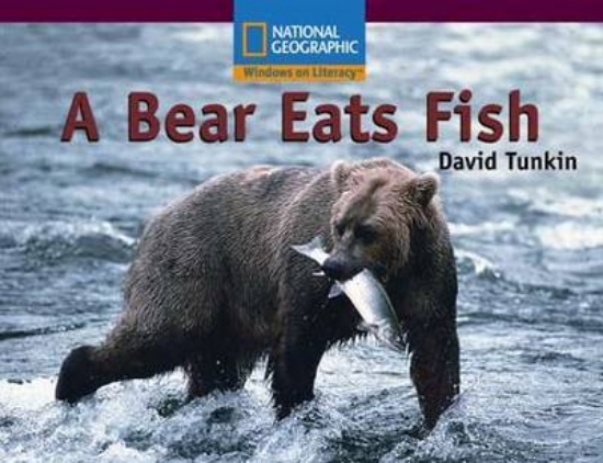 Picture of A Bear Eats Fish