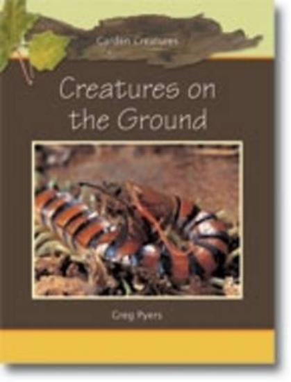 Picture of Creatures on the Ground Big Book