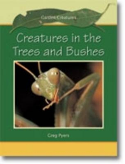 Picture of Creatures in the Trees Big Book