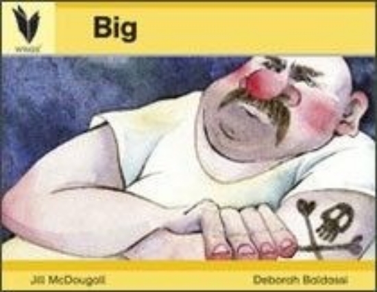 Picture of Big - Level 1