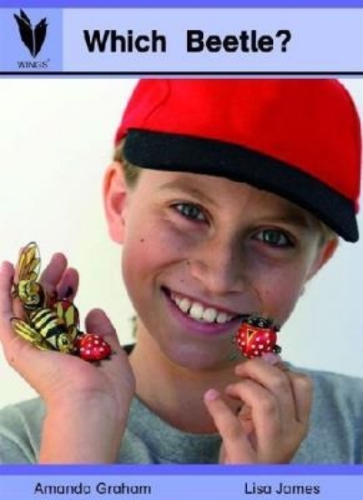 Picture of Which Beetle? - Level 3