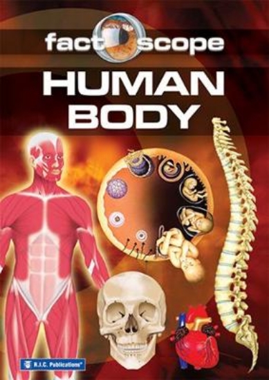 Picture of Factoscope - Human Body