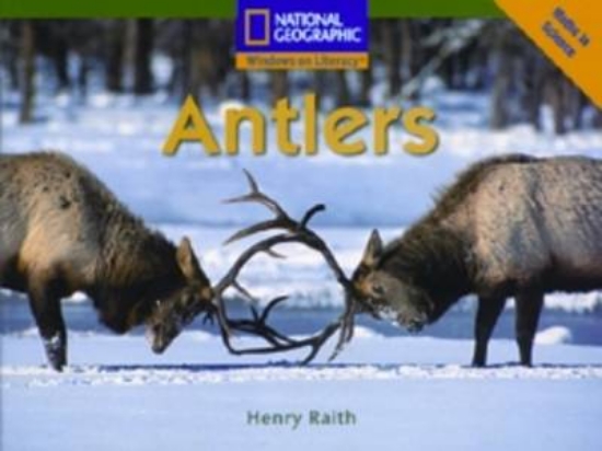 Picture of Antlers