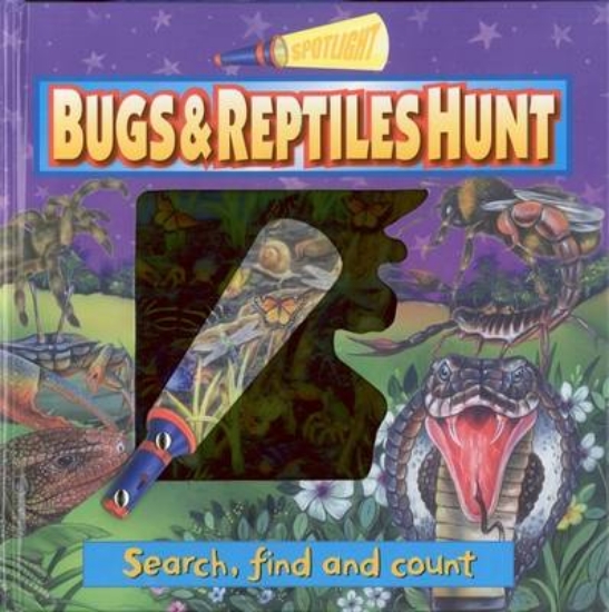 Picture of Bugs and Reptiles Hunt