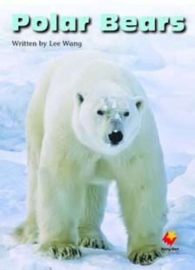 Picture of Fs Polar Bears L19