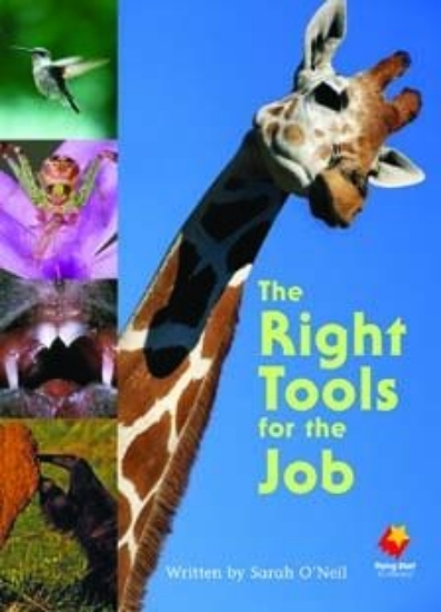 Picture of Fs Right Tools For The Job L22