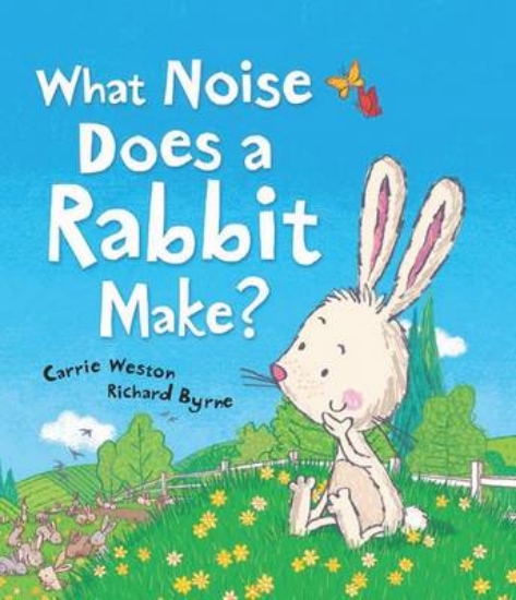 Picture of What Noise Does Rabbit Make