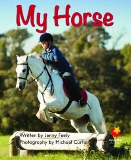 Picture of Fs My Horse L3