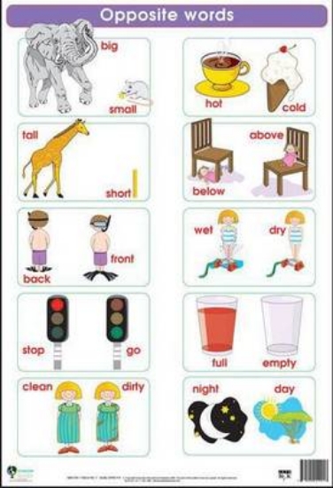 Picture of Opposite words: Wall chart