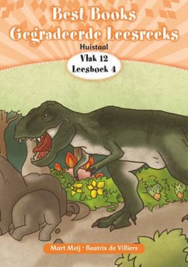 Picture of Best Books Graad 3 HT Gegradeerde Leesreeks Vlak 1