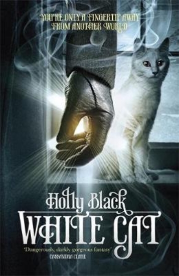 Picture of White Cat