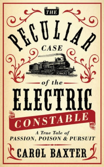 Picture of The Peculiar Case of the Electric Constable