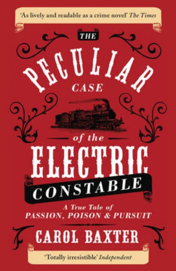 Picture of The Peculiar Case of the Electric Constable