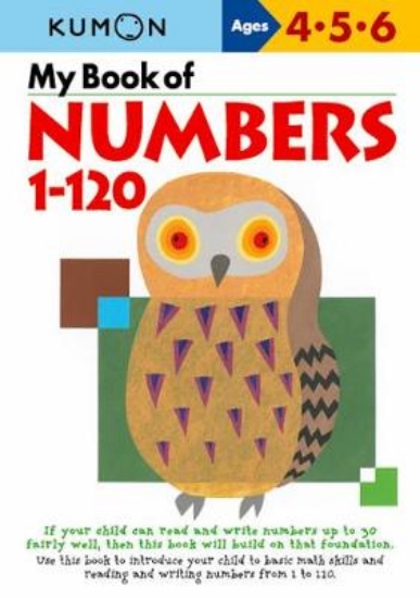 Picture of My Book of Numbers 1-120