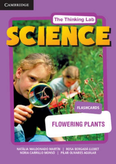 Picture of Flowering Plants Flashcards