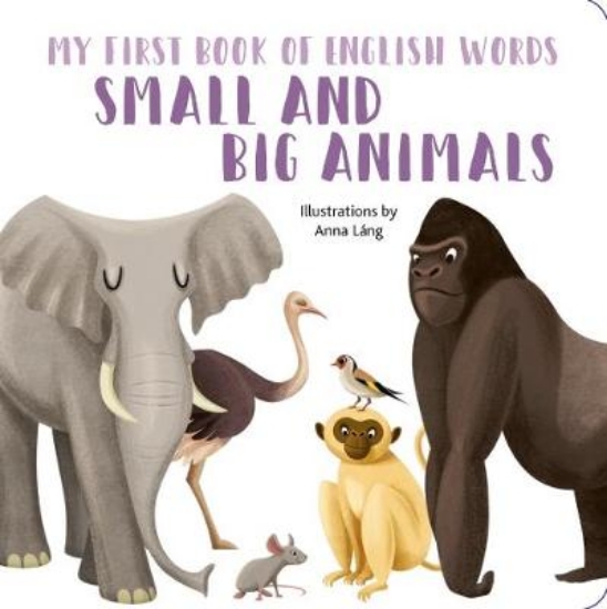 Picture of Small and Big Animals