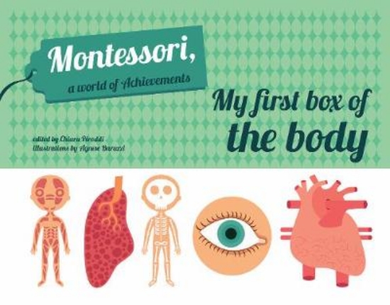 Picture of My First Box of the Body - Montessori World of Ach