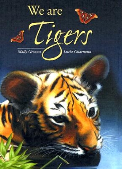 Picture of We Are Tigers