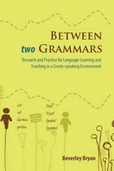 Picture of Between Two Grammars