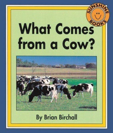 Picture of What Comes From A Cow?