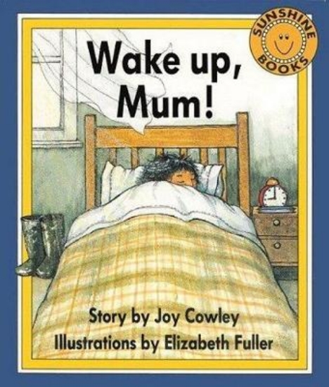 Picture of Wake Up, Mum!