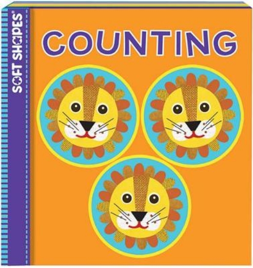 Picture of Soft Shapes: Counting