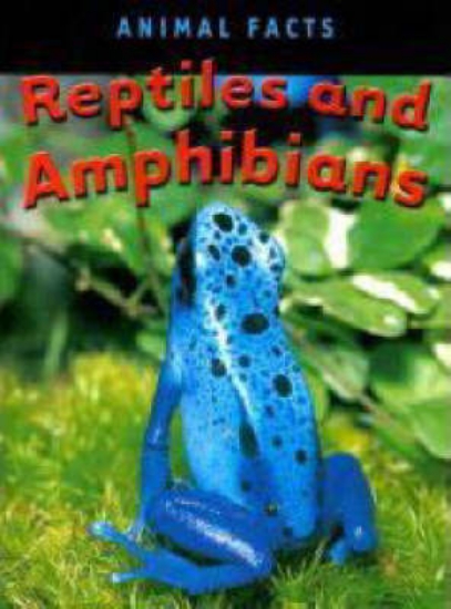 Picture of Reptiles and Amphibians