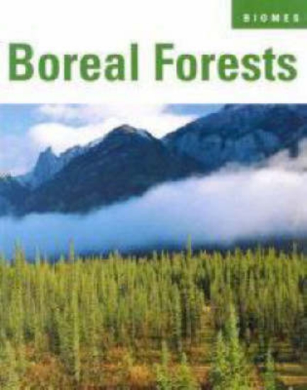 Picture of Boreal Forests