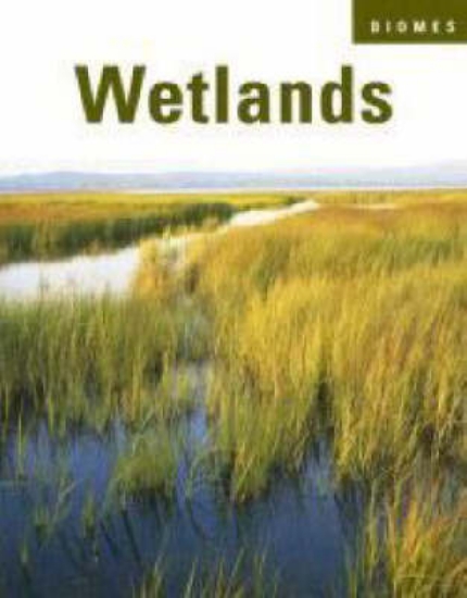 Picture of Wetlands