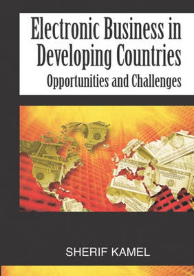 Picture of Electronic Business in Developing Countries