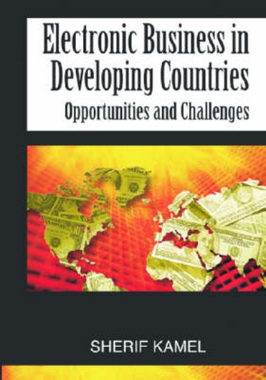 Picture of Electronic Business in Developing Countries