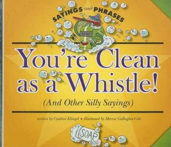 Picture of You're Clean as a Whistle! (and Other Silly Saying