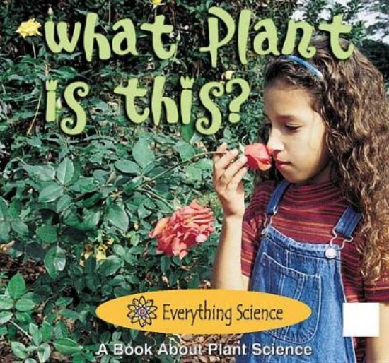 Picture of What Plant Is This?