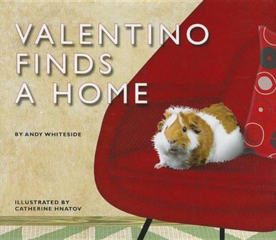 Picture of Valentino Finds a Home