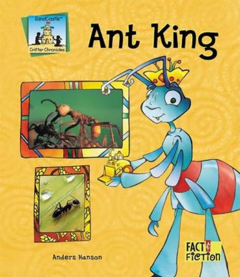 Picture of Ant King