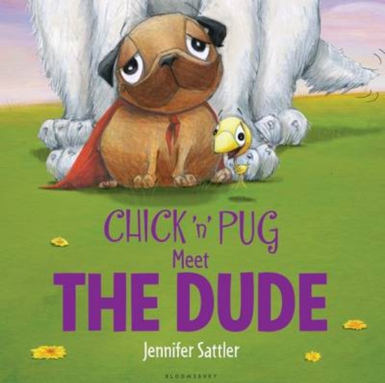 Picture of Chick 'n' Pug Meet the Dude