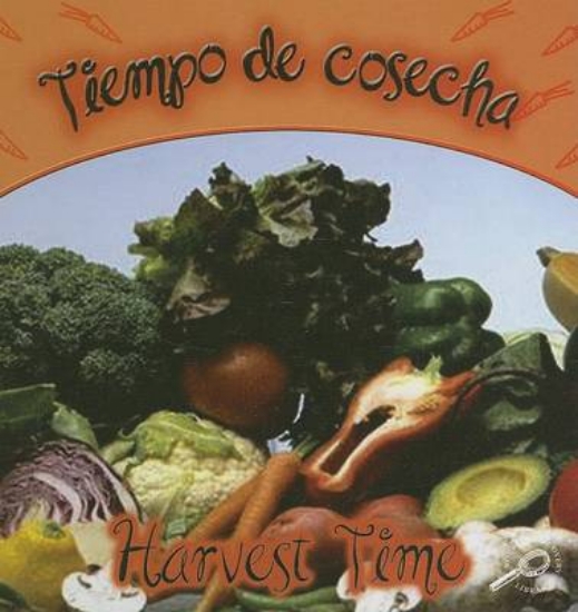 Picture of Tiempo de Cosecha