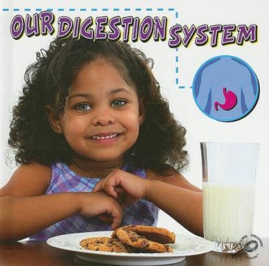 Picture of Our Digestion System