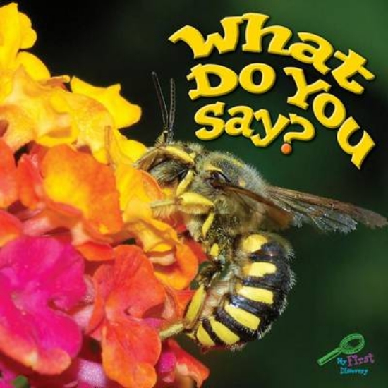 Picture of What Do You Say?