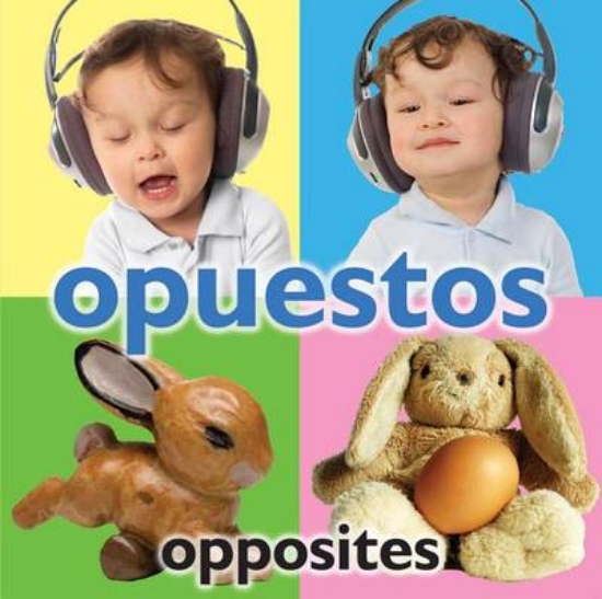 Picture of Opuestos