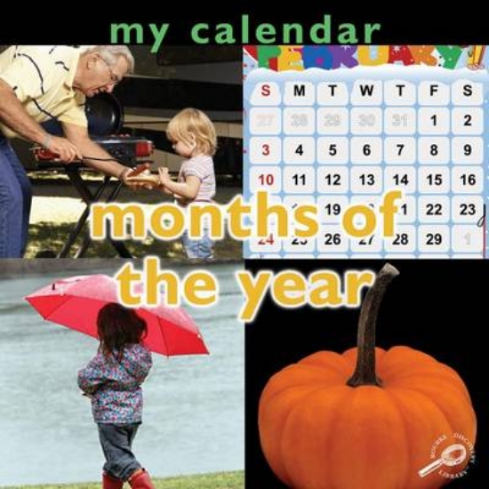 Picture of My Calendar: Months of the Year